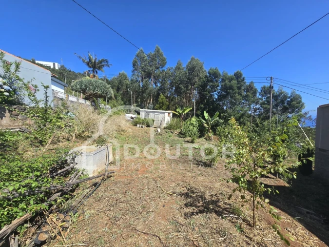 Terreno para Venda em Funchal (Santa Maria Maior) Foto 3