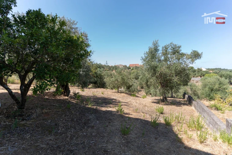 Moradia T6 para Venda em Atouguia Foto 6