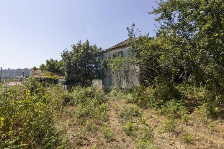 Quinta T0 para Venda em Meixomil Foto 3