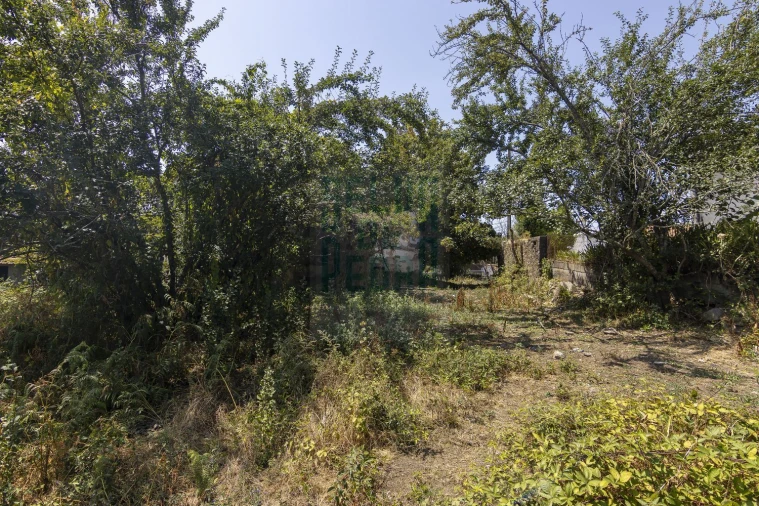 Quinta T0 para Venda em Meixomil Foto 2