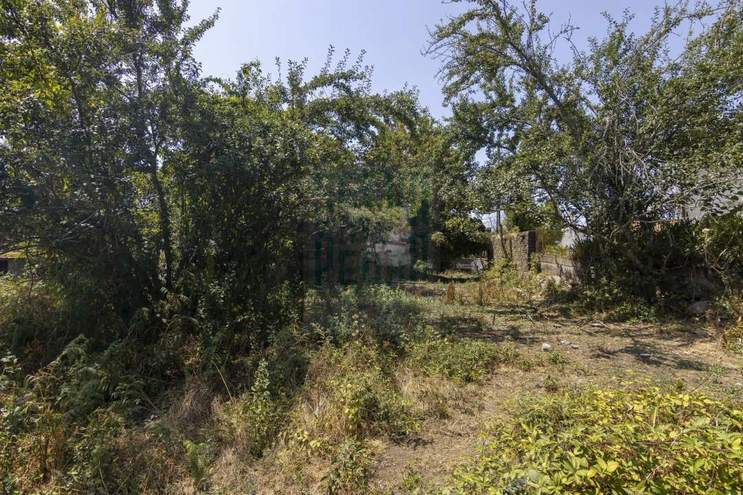 Quinta T0 para Venda em Meixomil Foto 2