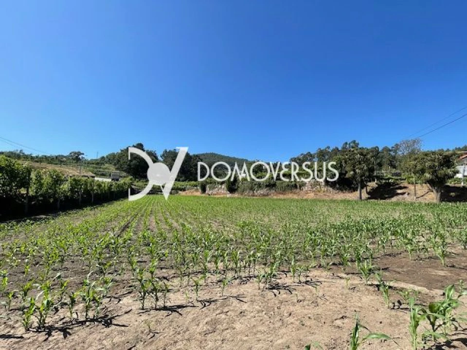 Quinta T10 para Venda em Conde e Gandarela Foto 46