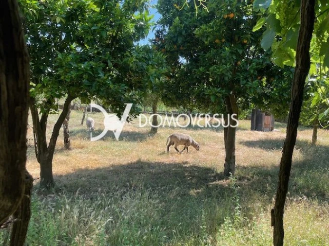 Quinta T10 para Venda em Conde e Gandarela Foto 43