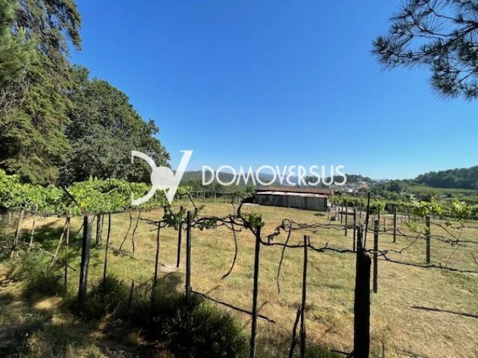 Quinta T10 para Venda em Conde e Gandarela Foto 38