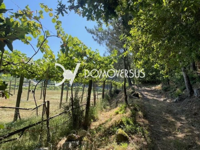 Quinta T10 para Venda em Conde e Gandarela Foto 37