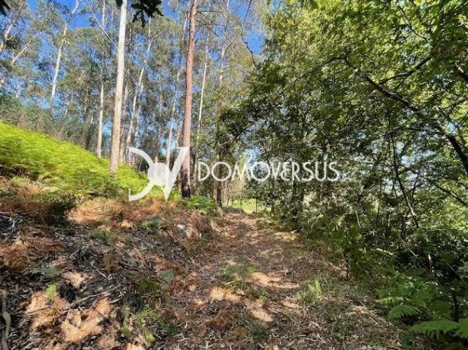 Quinta T10 para Venda em Conde e Gandarela Foto 32