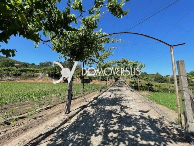 Quinta T10 para Venda em Conde e Gandarela Foto 45