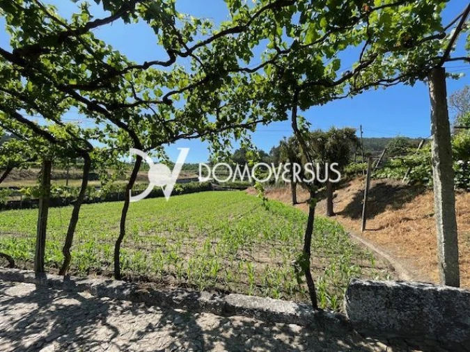Quinta T10 para Venda em Conde e Gandarela Foto 49