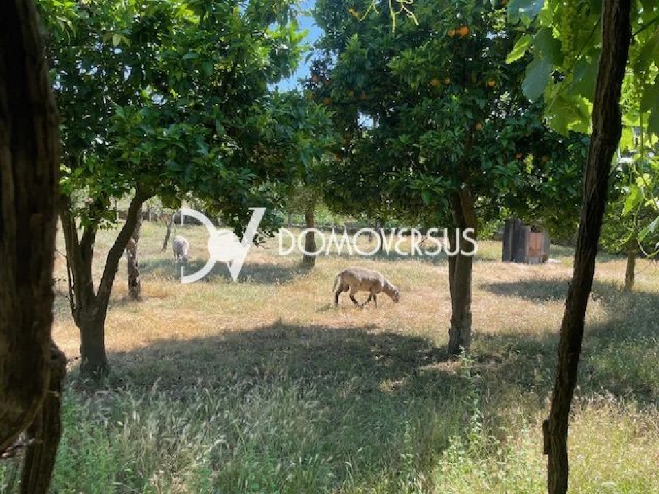 Quinta T10 para Venda em Conde e Gandarela Foto 43