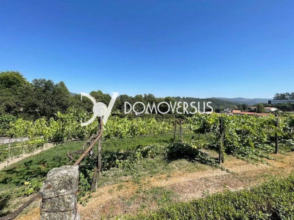 Quinta T10 para Venda em Conde e Gandarela Foto 47