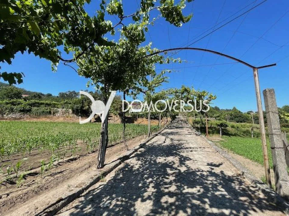 Quinta T10 para Venda em Conde e Gandarela Foto 45