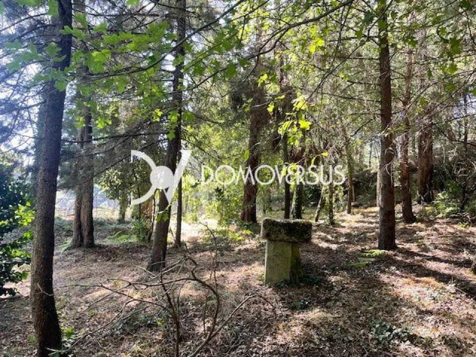 Quinta T10 para Venda em Conde e Gandarela Foto 36