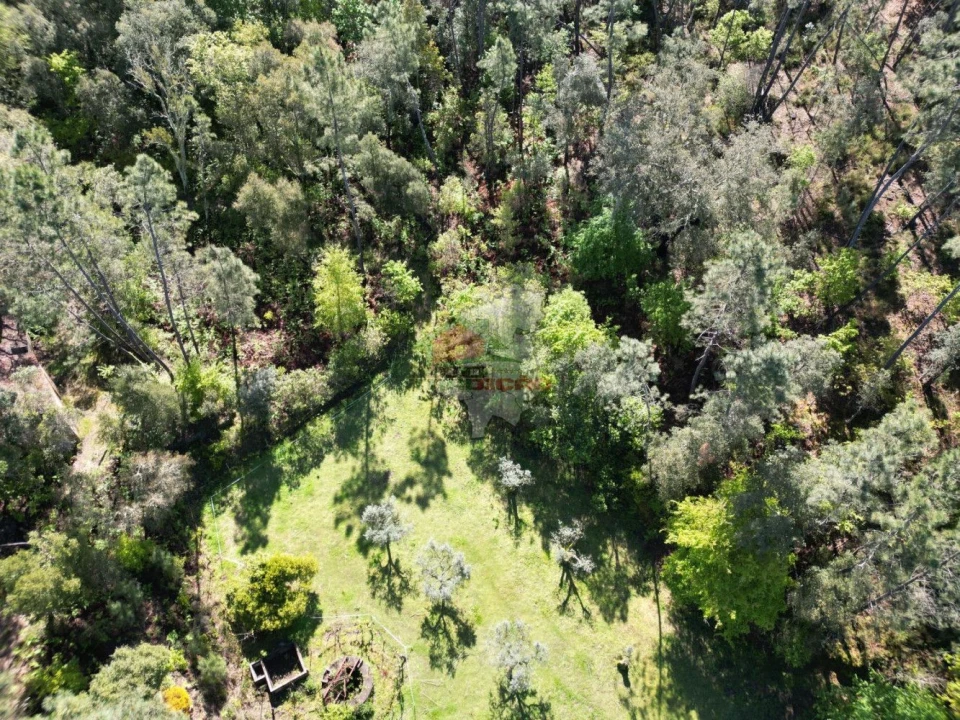 Quinta T2 para Venda em Castelo Foto 22