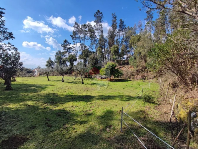 Quinta T2 para Venda em Castelo Foto 18