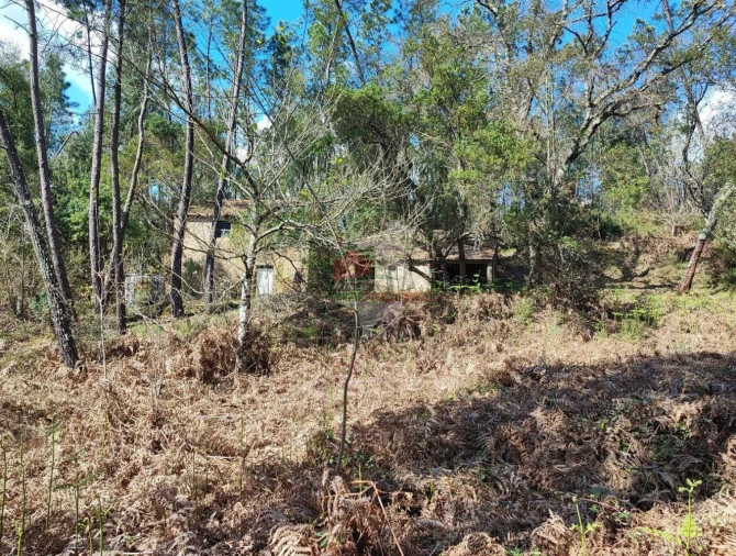 Quinta T2 para Venda em Castelo Foto 10