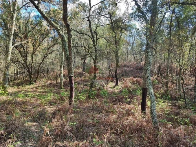 Quinta T2 para Venda em Castelo Foto 11