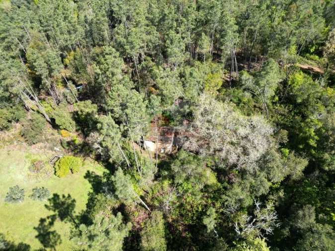 Quinta T2 para Venda em Castelo Foto 24