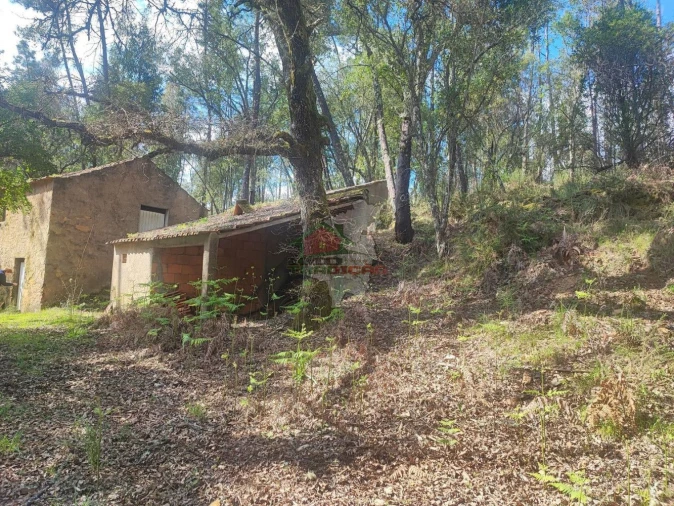 Quinta T2 para Venda em Castelo Foto 12