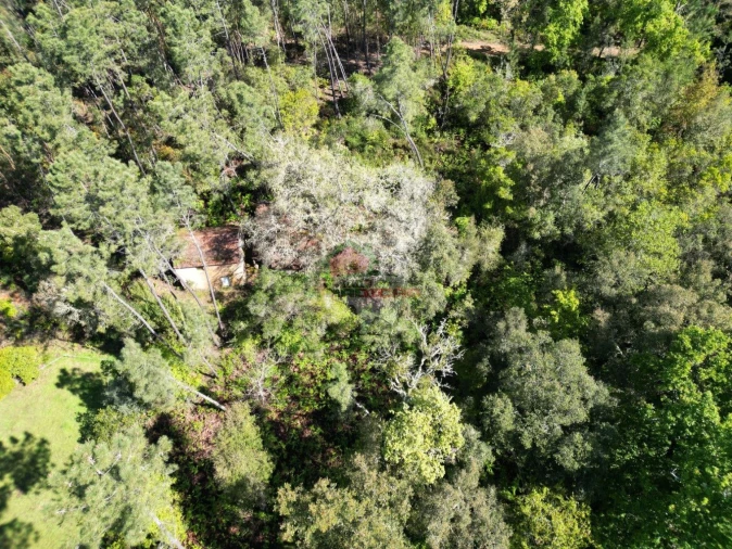 Quinta T2 para Venda em Castelo Foto 27