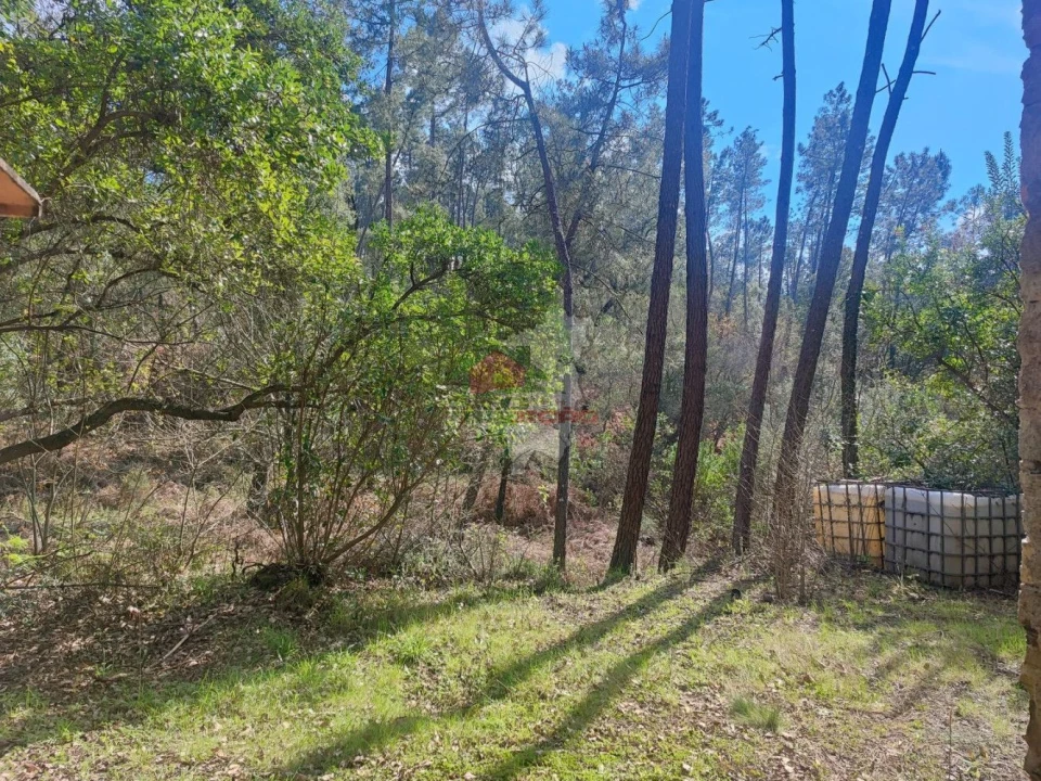 Quinta T2 para Venda em Castelo Foto 4