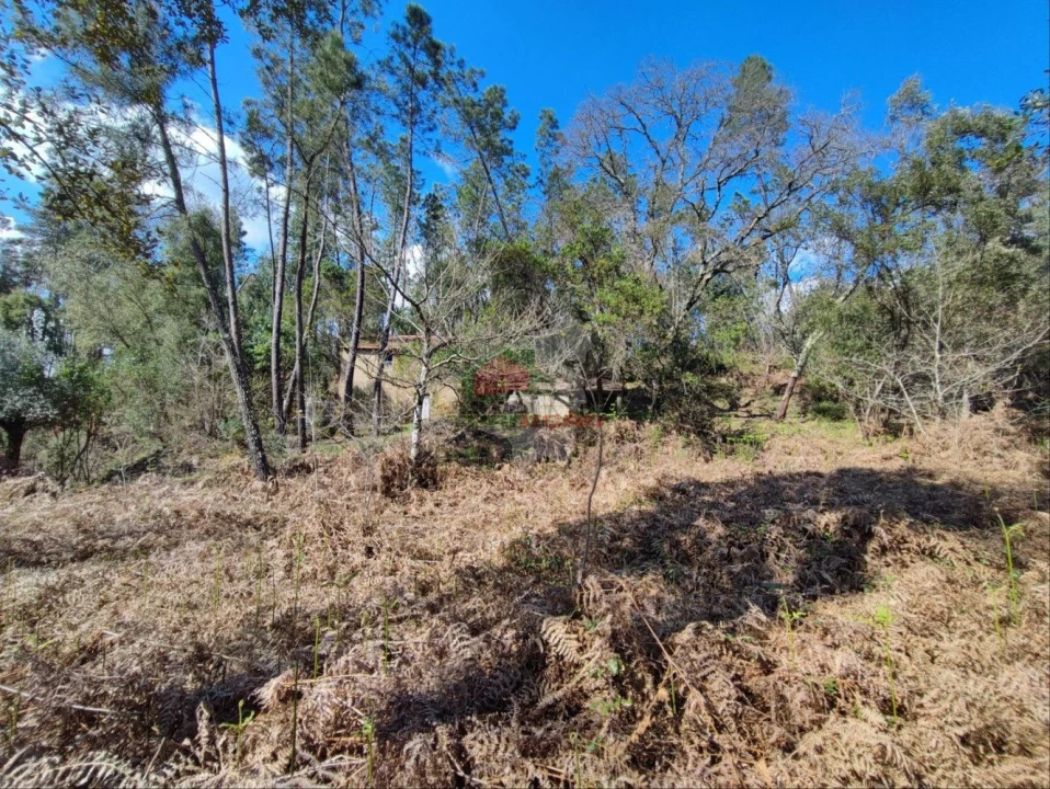 Quinta T2 para Venda em Castelo Foto 9