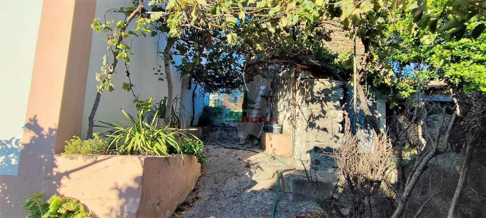 Moradia T3 para Venda em Proença-A-Nova e Peral Foto 13