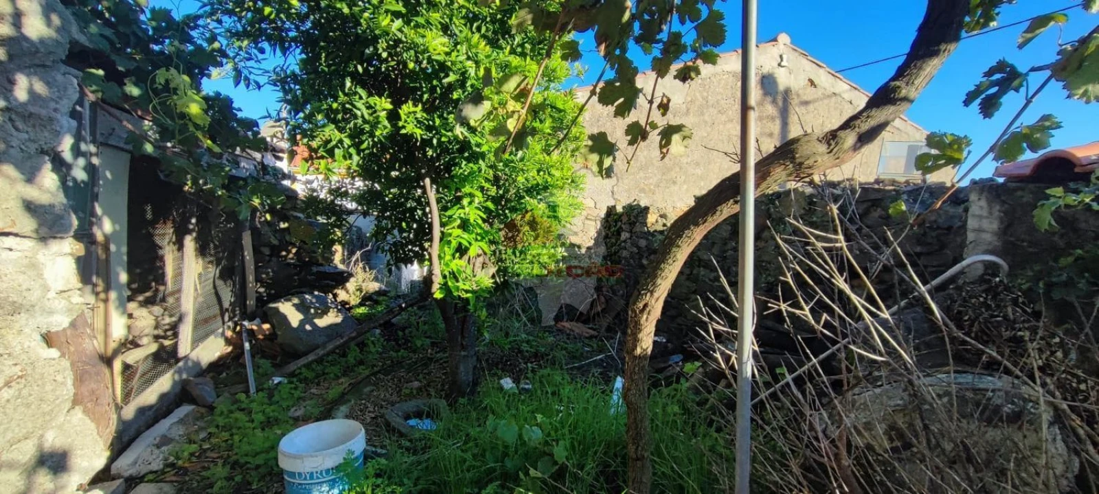 Moradia T3 para Venda em Proença-A-Nova e Peral Foto 12