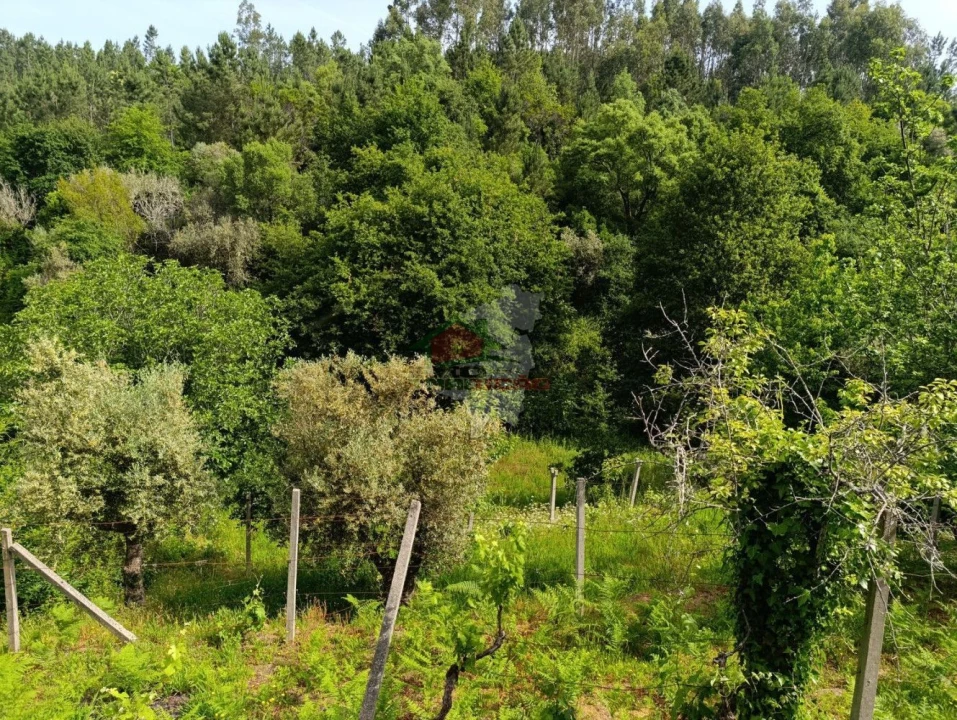 Terreno para Venda em Pedrogão Pequeno Foto 21