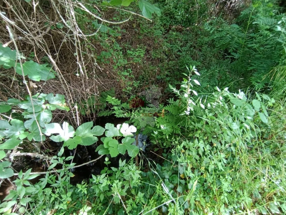 Terreno para Venda em Pedrogão Pequeno Foto 42