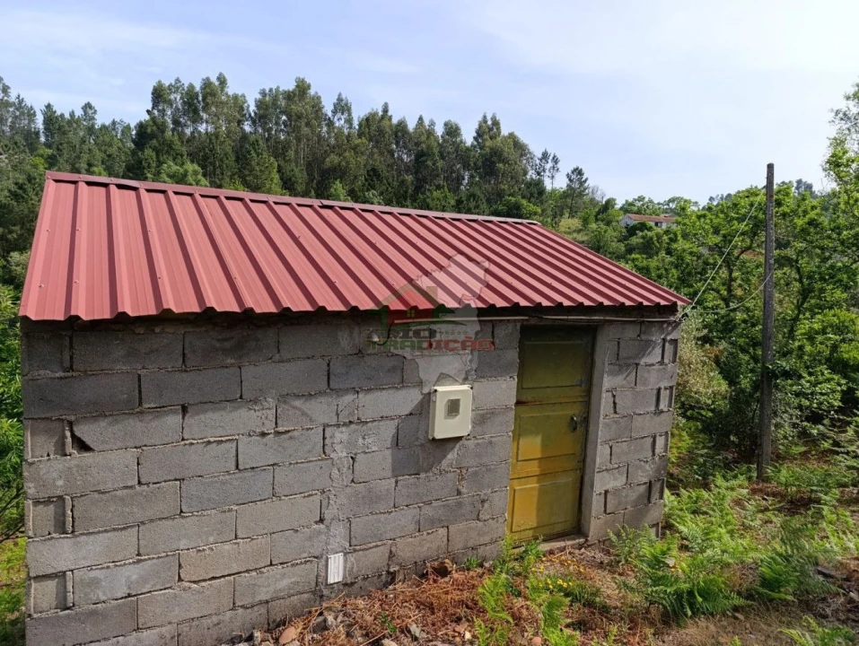 Terreno para Venda em Pedrogão Pequeno Foto 7