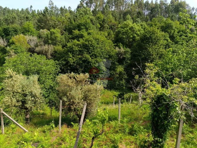 Terreno para Venda em Pedrogão Pequeno Foto 21
