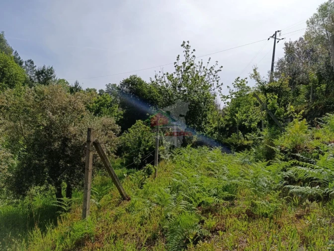 Terreno para Venda em Pedrogão Pequeno Foto 44