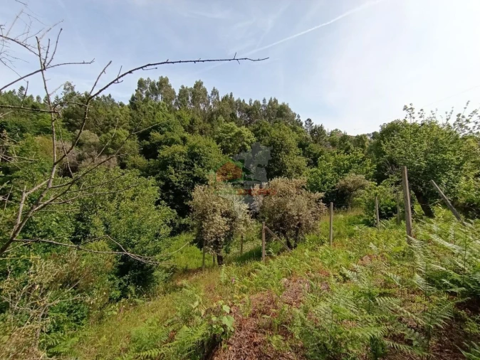 Terreno para Venda em Pedrogão Pequeno Foto 47