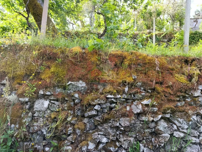Terreno para Venda em Pedrogão Pequeno Foto 32