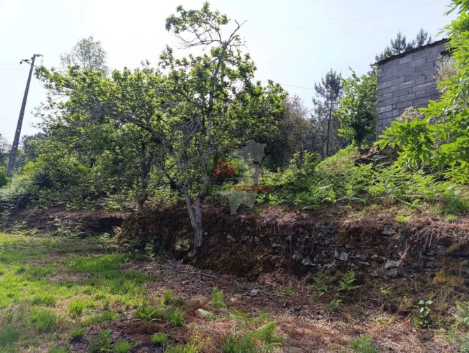 Terreno para Venda em Pedrogão Pequeno Foto 19