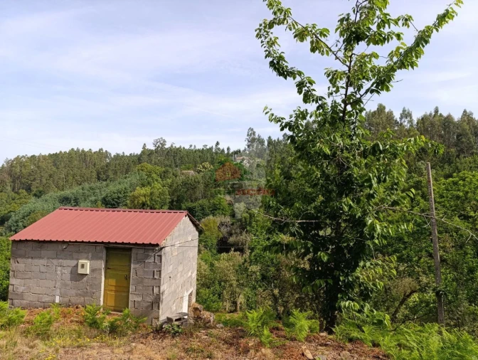 Terreno para Venda em Pedrogão Pequeno Foto 6