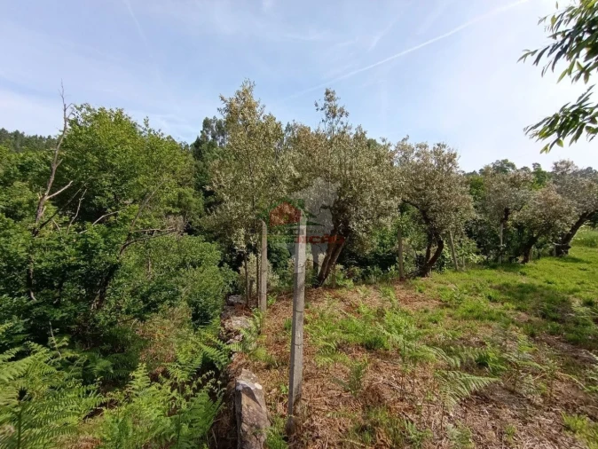 Terreno para Venda em Pedrogão Pequeno Foto 49
