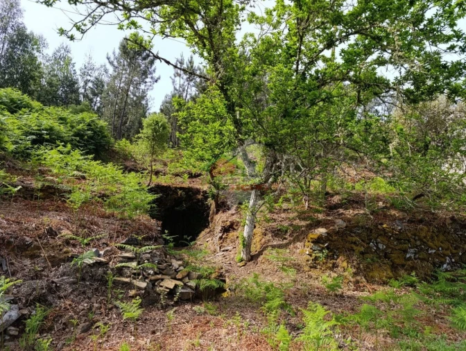 Terreno para Venda em Pedrogão Pequeno Foto 24
