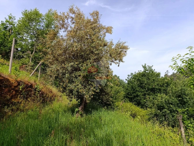 Terreno para Venda em Pedrogão Pequeno Foto 33