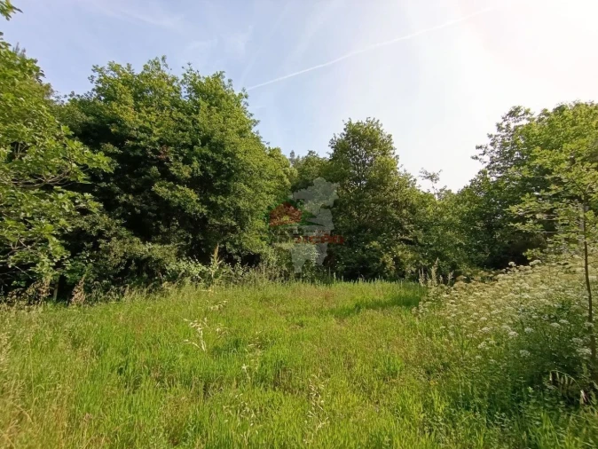 Terreno para Venda em Pedrogão Pequeno Foto 43