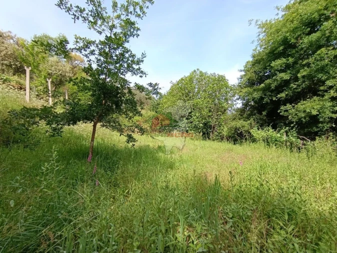 Terreno para Venda em Pedrogão Pequeno Foto 36