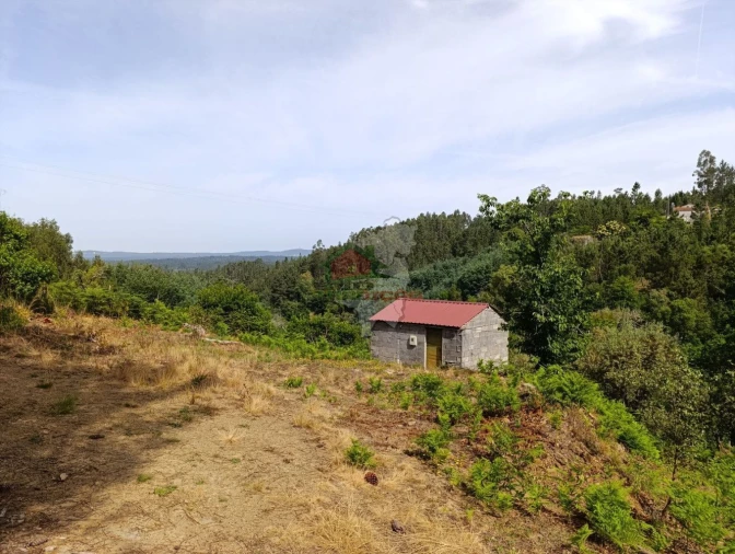 Terreno para Venda em Pedrogão Pequeno Foto 8