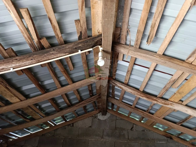 Terreno para Venda em Pedrogão Pequeno Foto 13