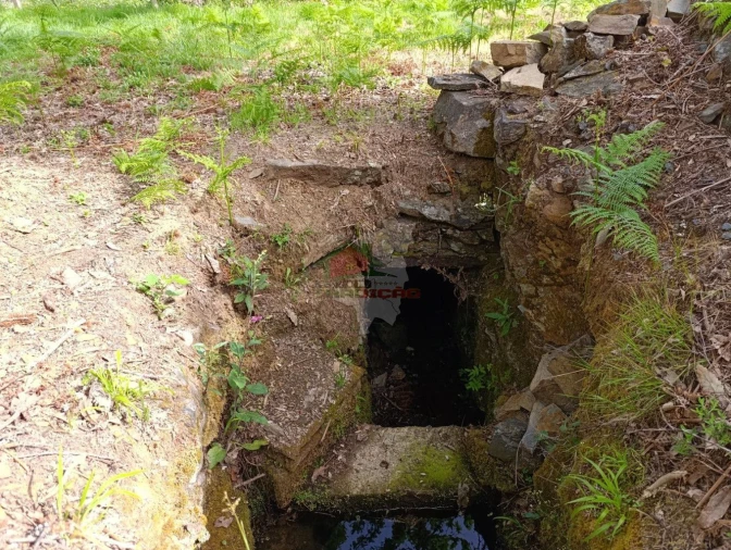 Terreno para Venda em Pedrogão Pequeno Foto 27