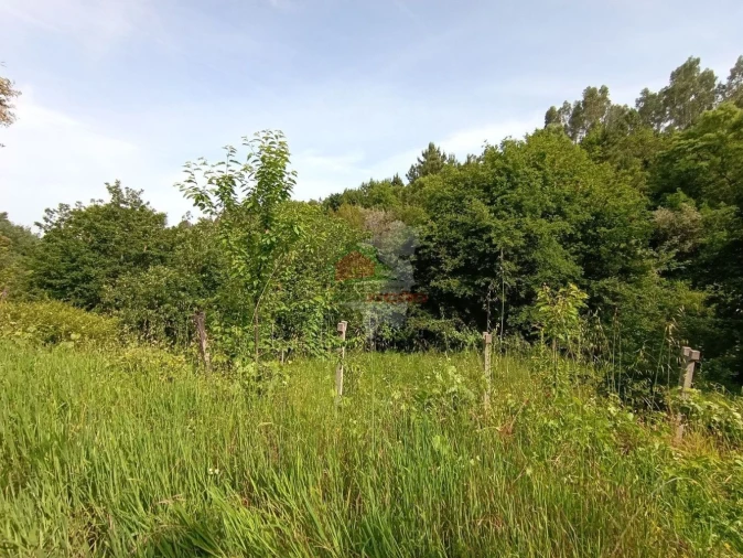 Terreno para Venda em Pedrogão Pequeno Foto 35