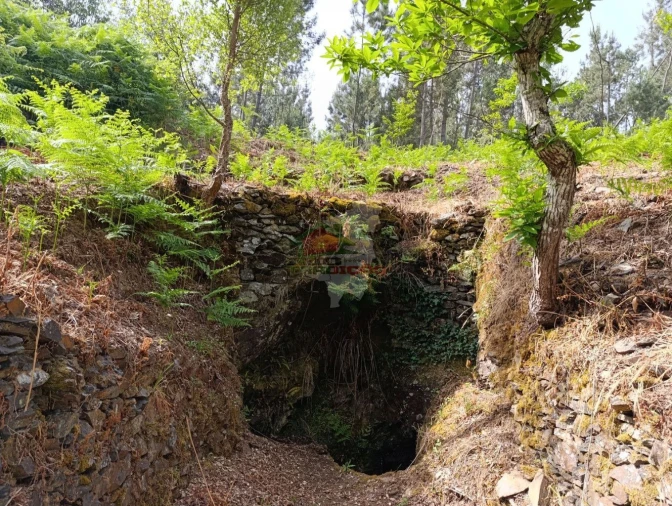 Terreno para Venda em Pedrogão Pequeno Foto 26