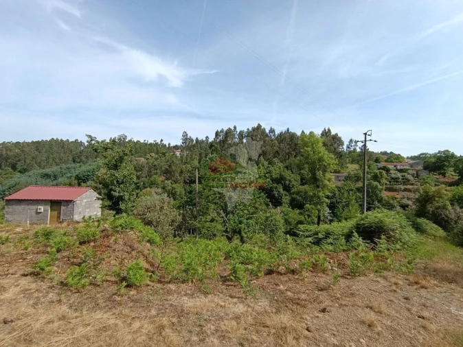 Terreno para Venda em Pedrogão Pequeno Foto 50