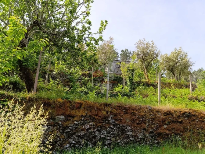 Terreno para Venda em Pedrogão Pequeno Foto 31