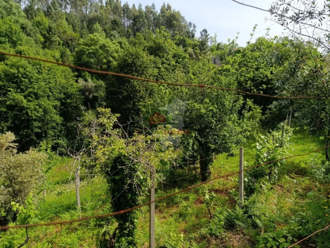 Terreno para Venda em Pedrogão Pequeno Foto 22