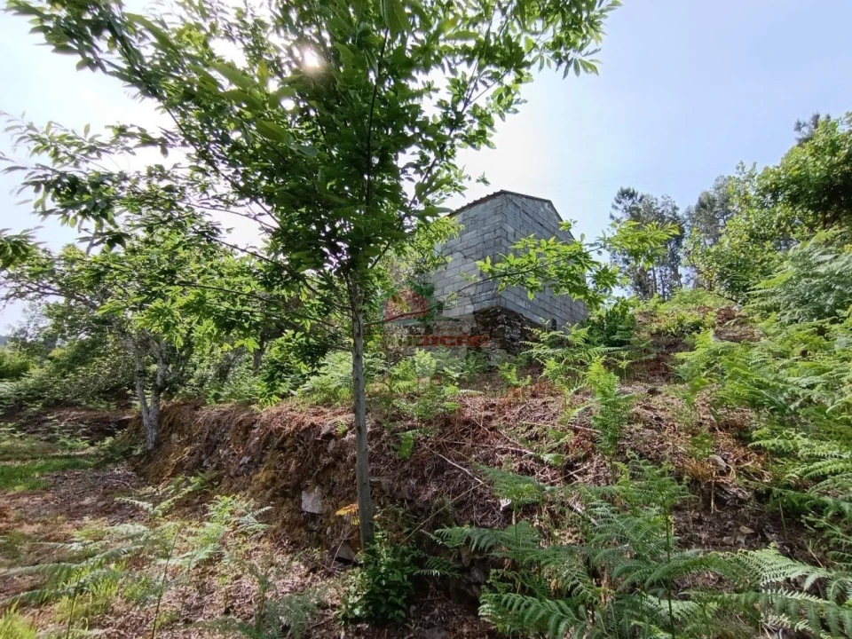 Terreno para Venda em Pedrogão Pequeno Foto 46